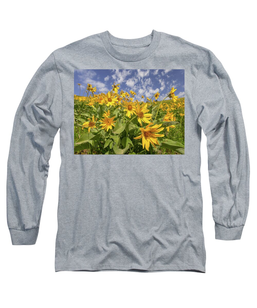 Wild Flowers Long Sleeve T-Shirt featuring the photograph The Joy of Spring by Jack Bell