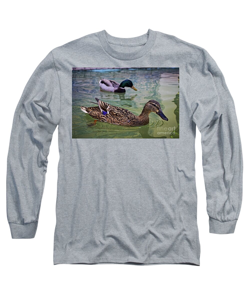 Swimming Long Sleeve T-Shirt featuring the photograph The Mallard Pair by Mary Machare