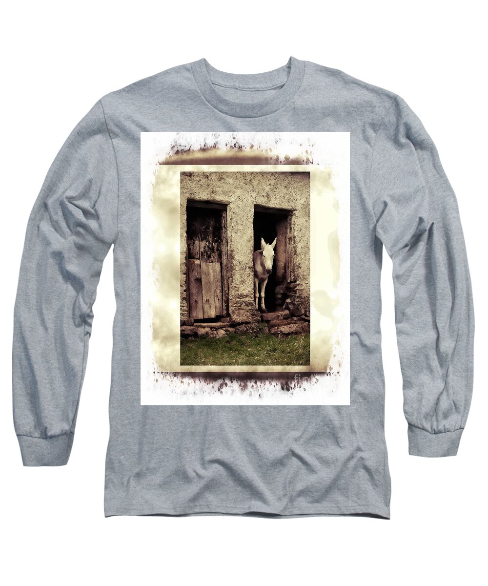 Mule Long Sleeve T-Shirt featuring the photograph The Old Mule by Joe Cashin