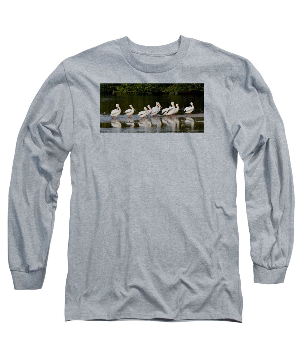 Pelican Long Sleeve T-Shirt featuring the photograph The Parade by Jim Bennight