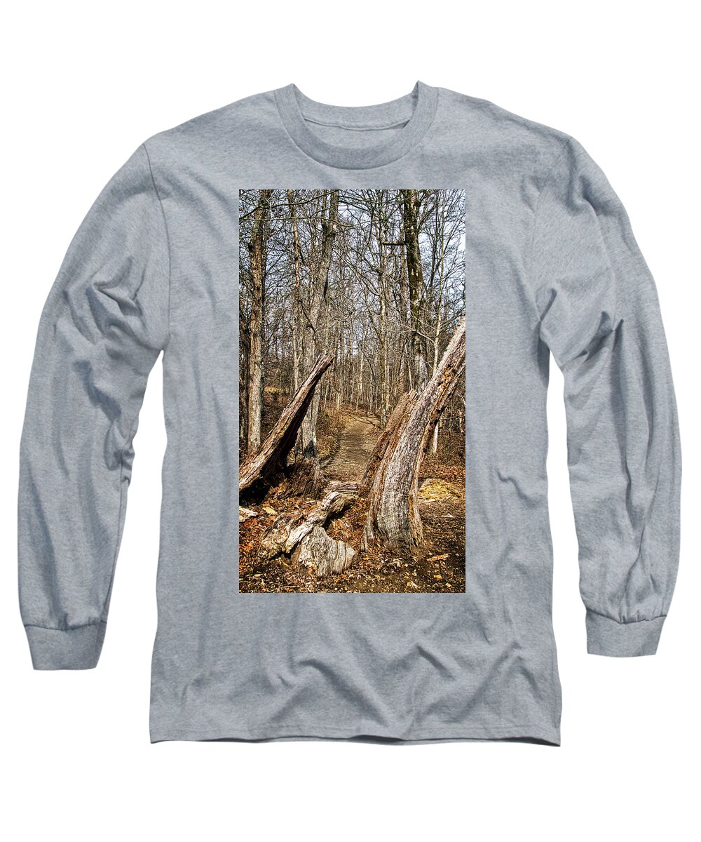 Walk Long Sleeve T-Shirt featuring the photograph The Path Through the Woods by George Taylor