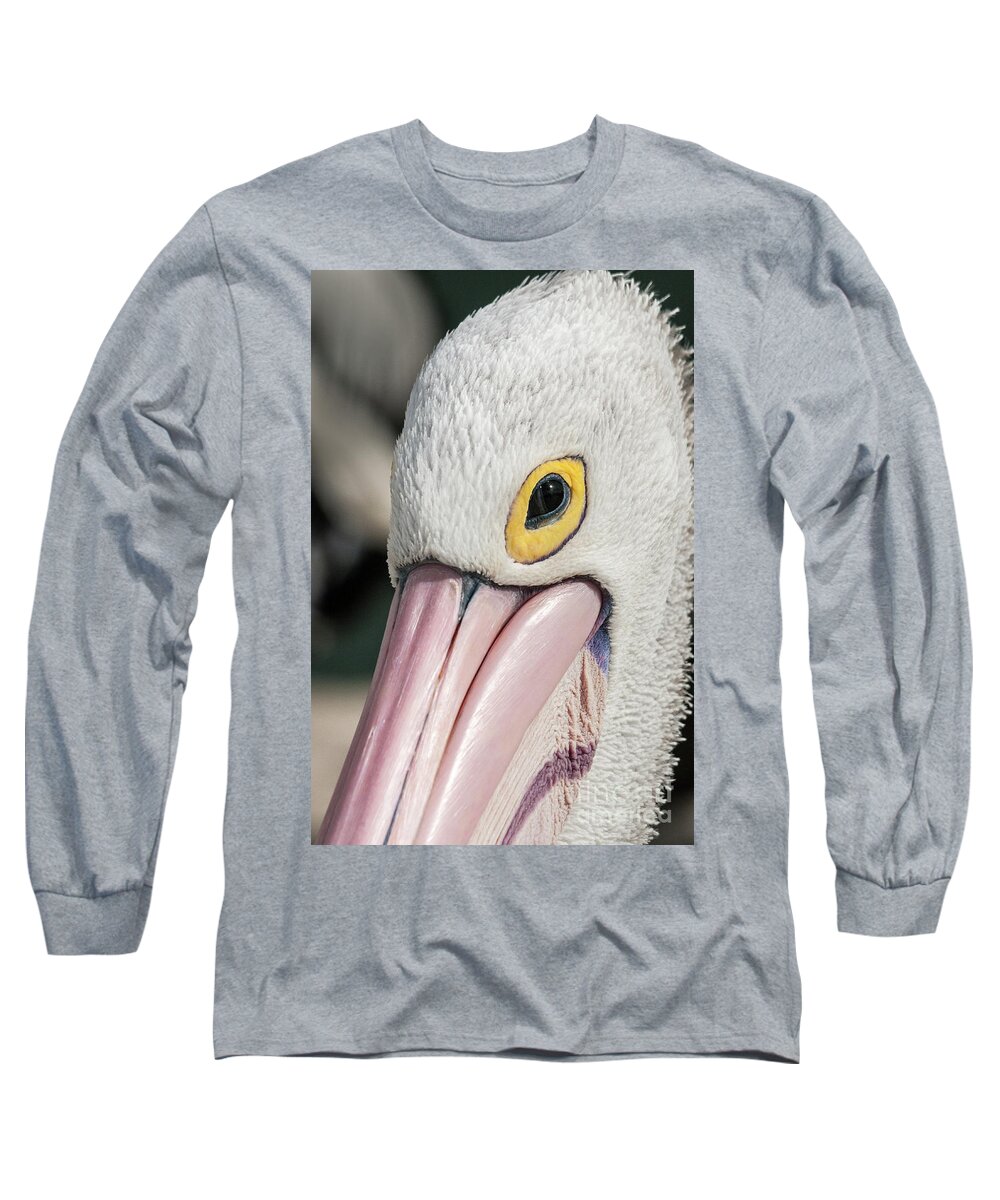 Bird Long Sleeve T-Shirt featuring the photograph The Pelican Look by Werner Padarin