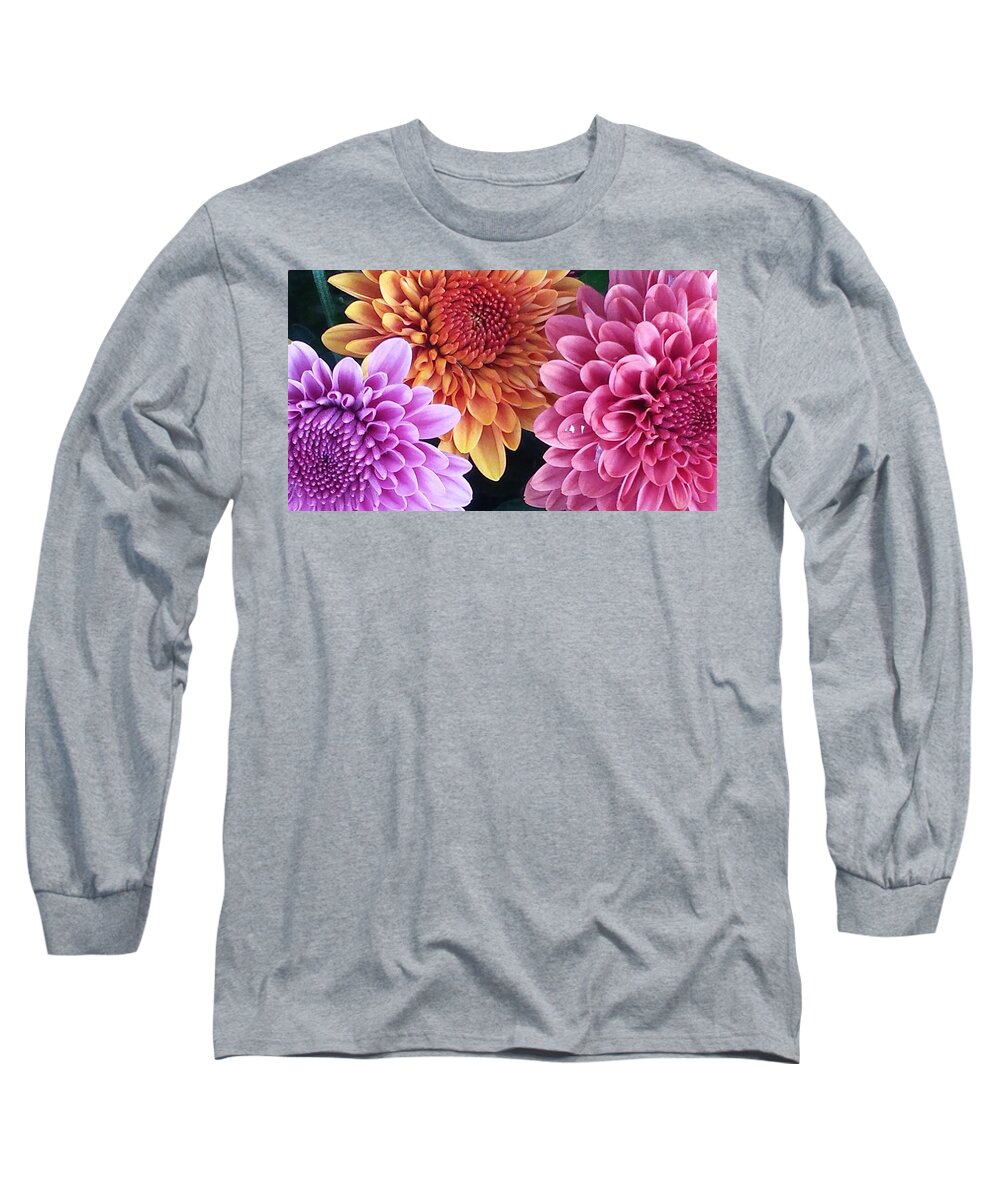Asters Floral Flowers Pastel  Long Sleeve T-Shirt featuring the photograph Three sisters by Jimmy Chuck Smith