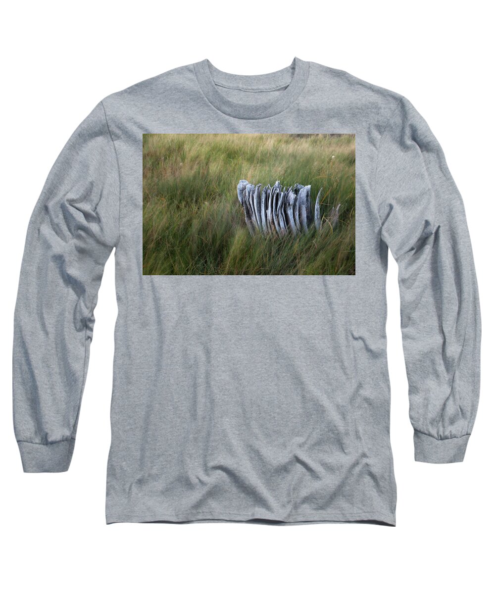 Weathered Stump Long Sleeve T-Shirt featuring the photograph Weathered Stump by Scott Slone