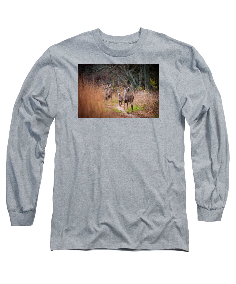 Wildlife Long Sleeve T-Shirt featuring the photograph Trail Watchers by Jeff Phillippi