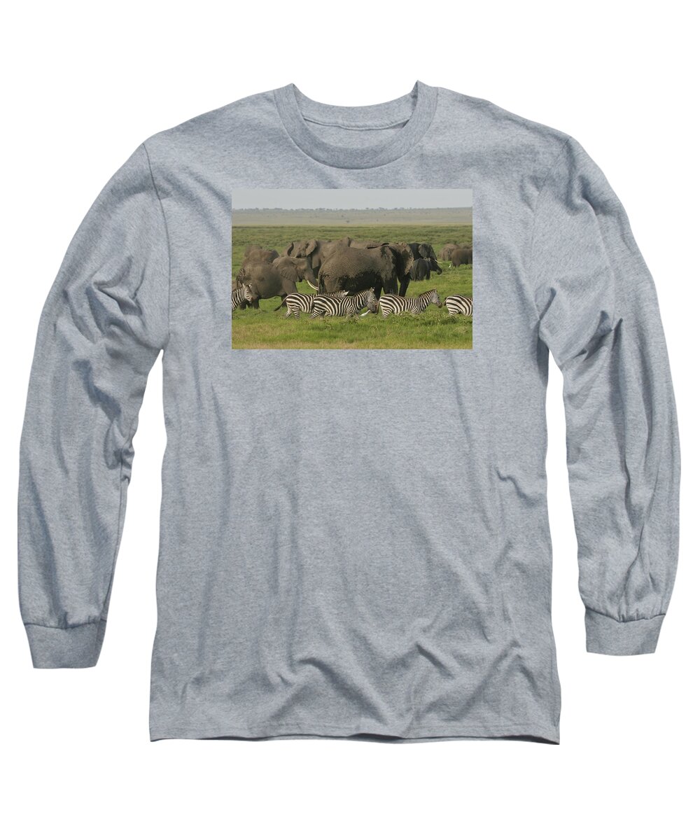Gary Hall Long Sleeve T-Shirt featuring the photograph Travelling Companions by Gary Hall
