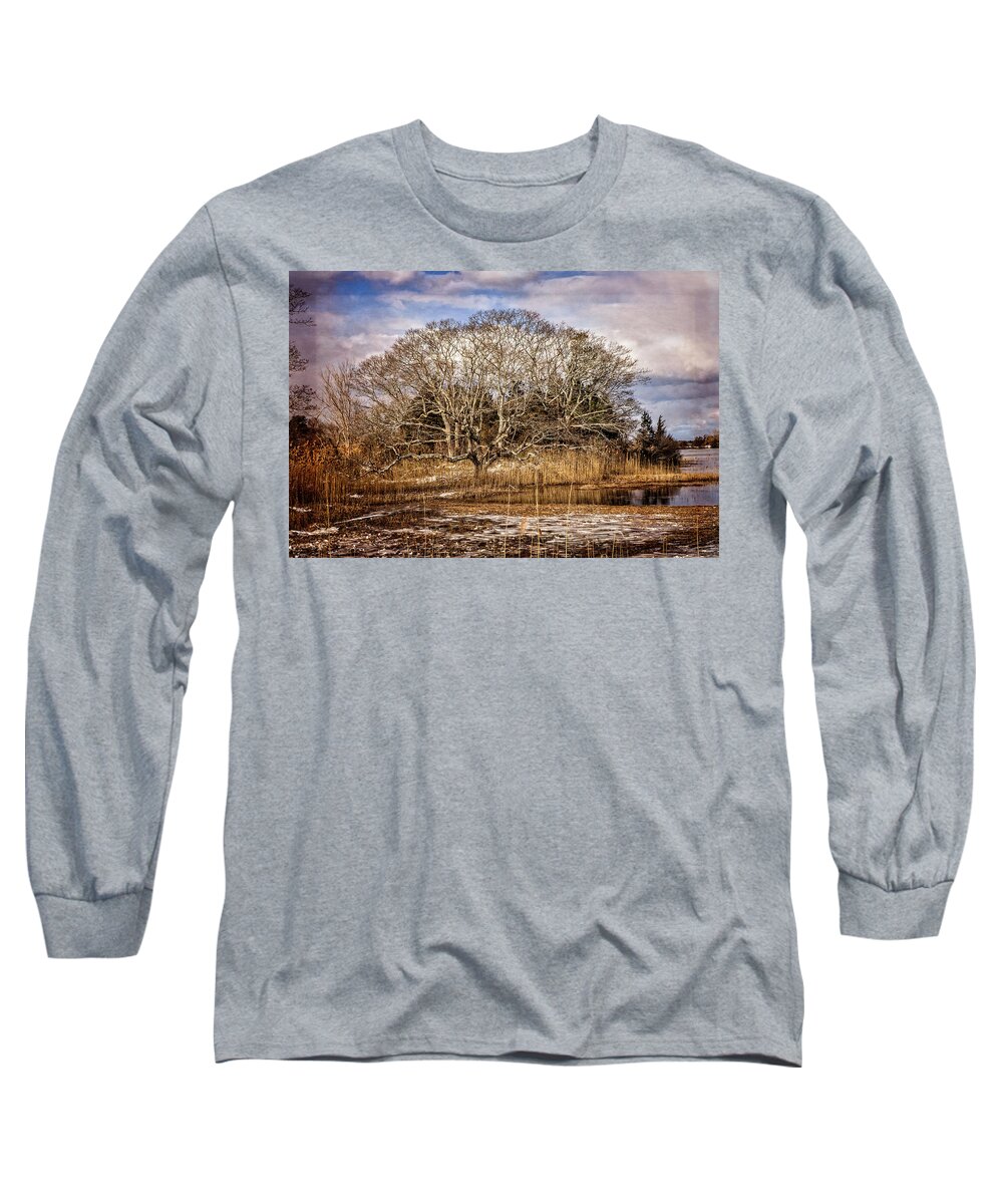 Marsh Long Sleeve T-Shirt featuring the photograph Tree in Marsh by Frank Winters