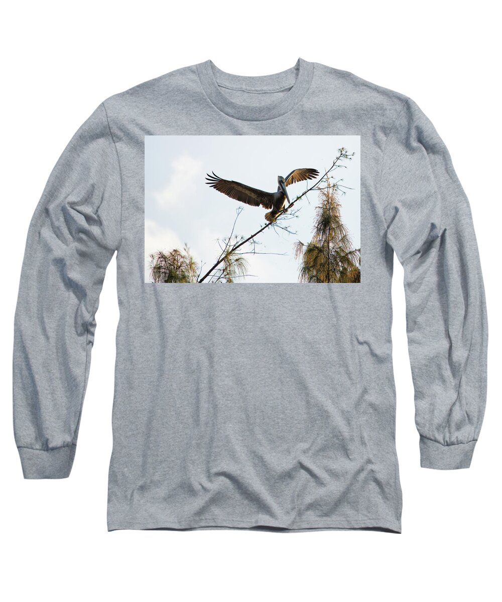 Cozumel Long Sleeve T-Shirt featuring the photograph Tree Landing by David Buhler