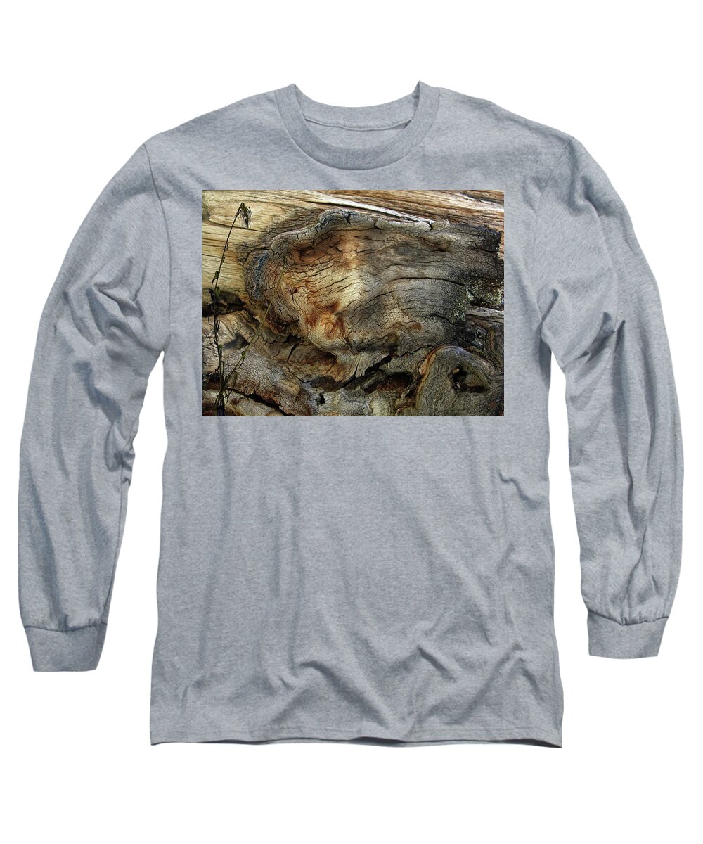 Trees Long Sleeve T-Shirt featuring the photograph Tree Memories # 36 by Ed Hall
