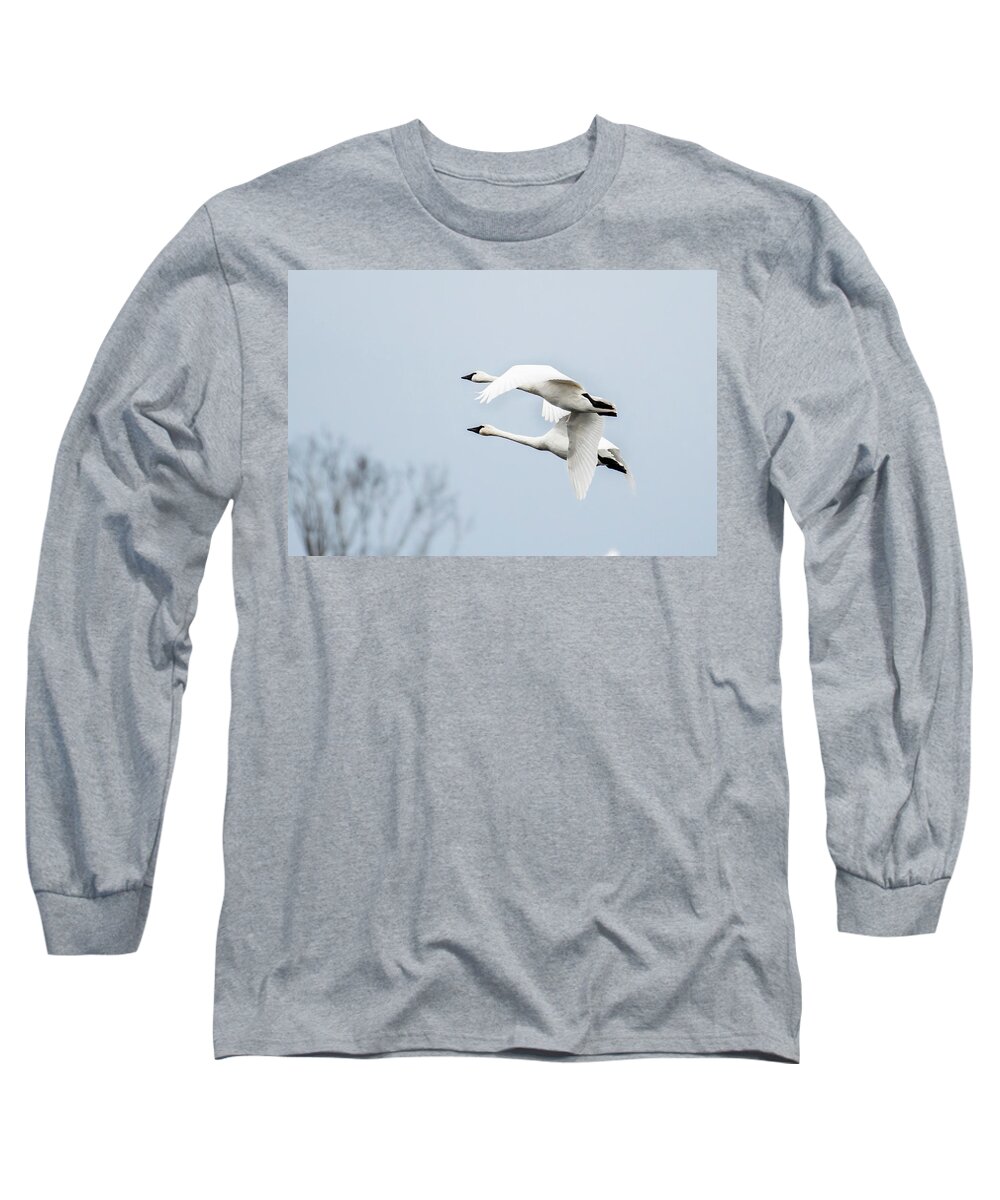 Nature Long Sleeve T-Shirt featuring the photograph Tundra Swan Lift-Off by Donald Brown