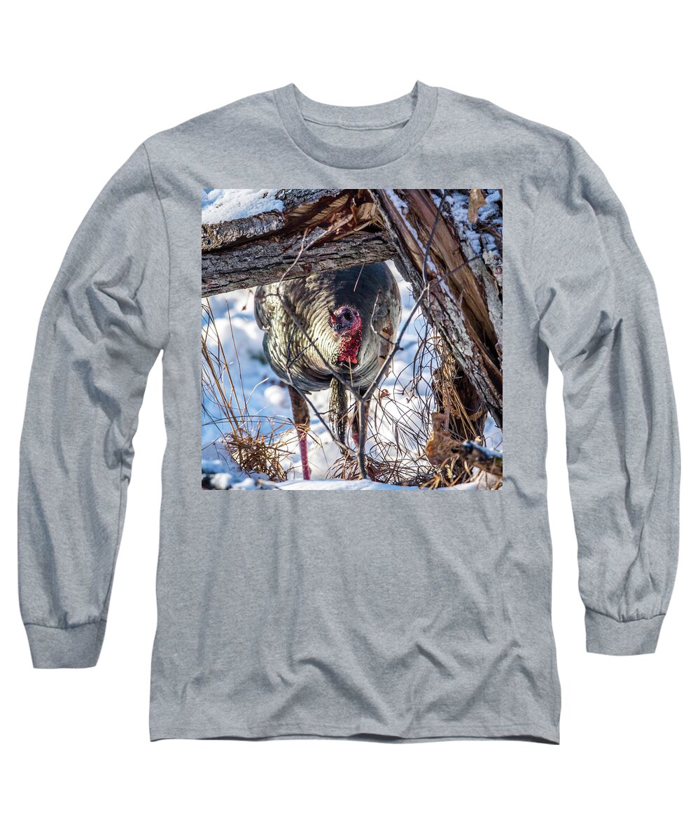 Wild Turkey Not The Whiskey Long Sleeve T-Shirt featuring the photograph Turkey In the Brush by Paul Freidlund