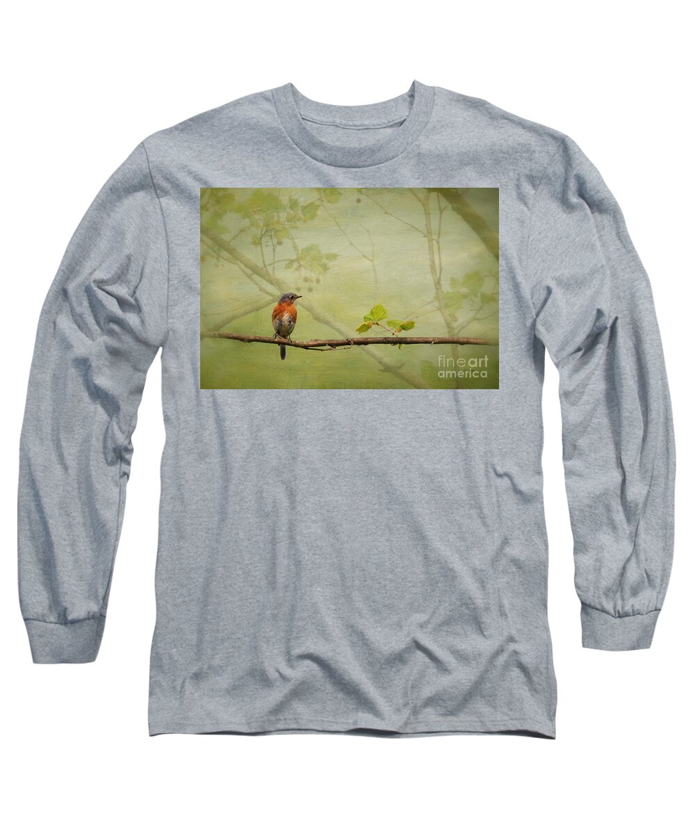 Bluebirds Long Sleeve T-Shirt featuring the photograph Until Spring by Lois Bryan