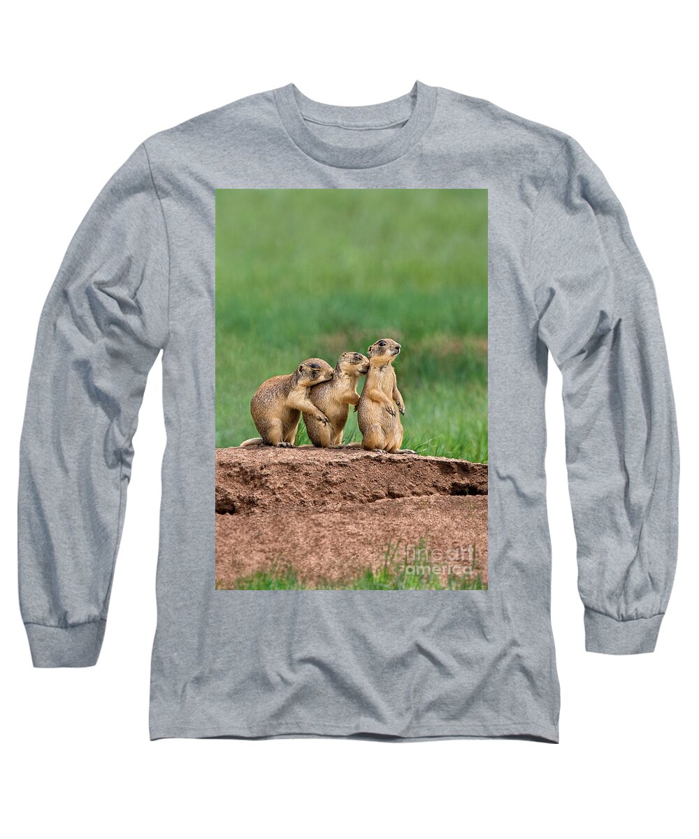 Dave Welling Long Sleeve T-Shirt featuring the photograph Utah Prairie Dogs Cynomys Parvidens Wild Utah by Dave Welling