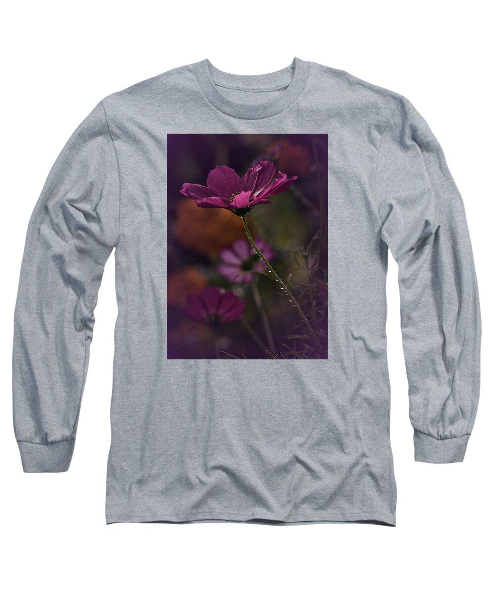 Cosmos Long Sleeve T-Shirt featuring the photograph Vintage Cosmos by Richard Cummings