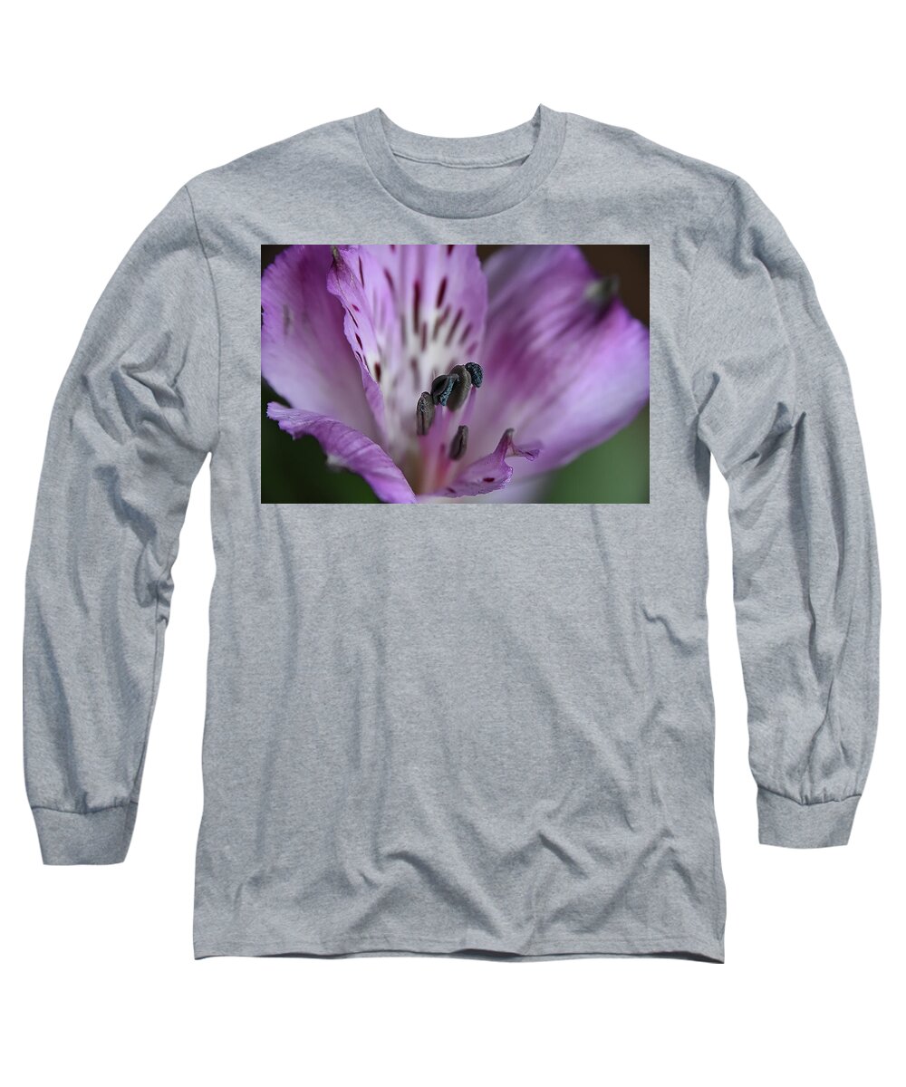 Flower Long Sleeve T-Shirt featuring the photograph Violet by Kuni Photography