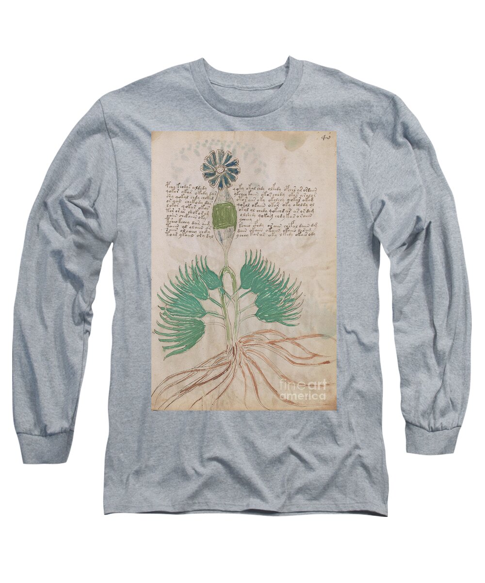 Plant Long Sleeve T-Shirt featuring the drawing Voynich flora 16 by Rick Bures
