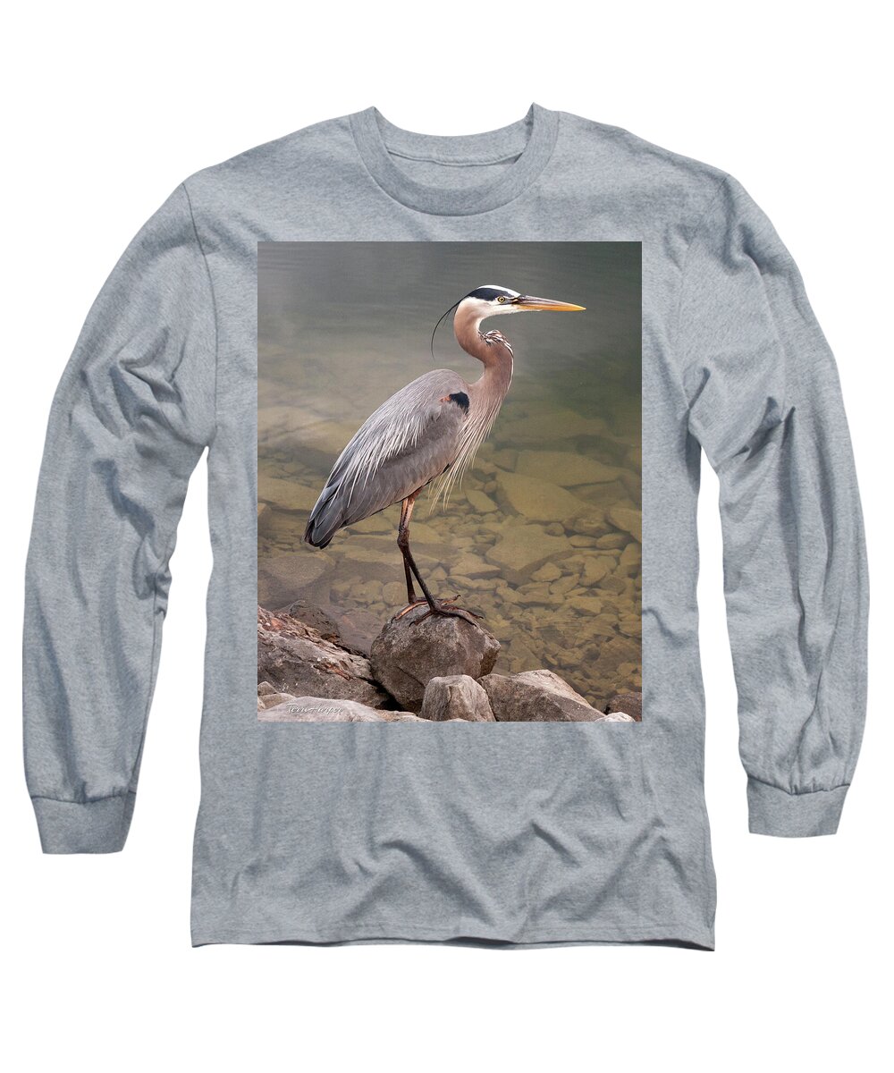 Blue Heron Long Sleeve T-Shirt featuring the photograph Waiting by Terri Harper