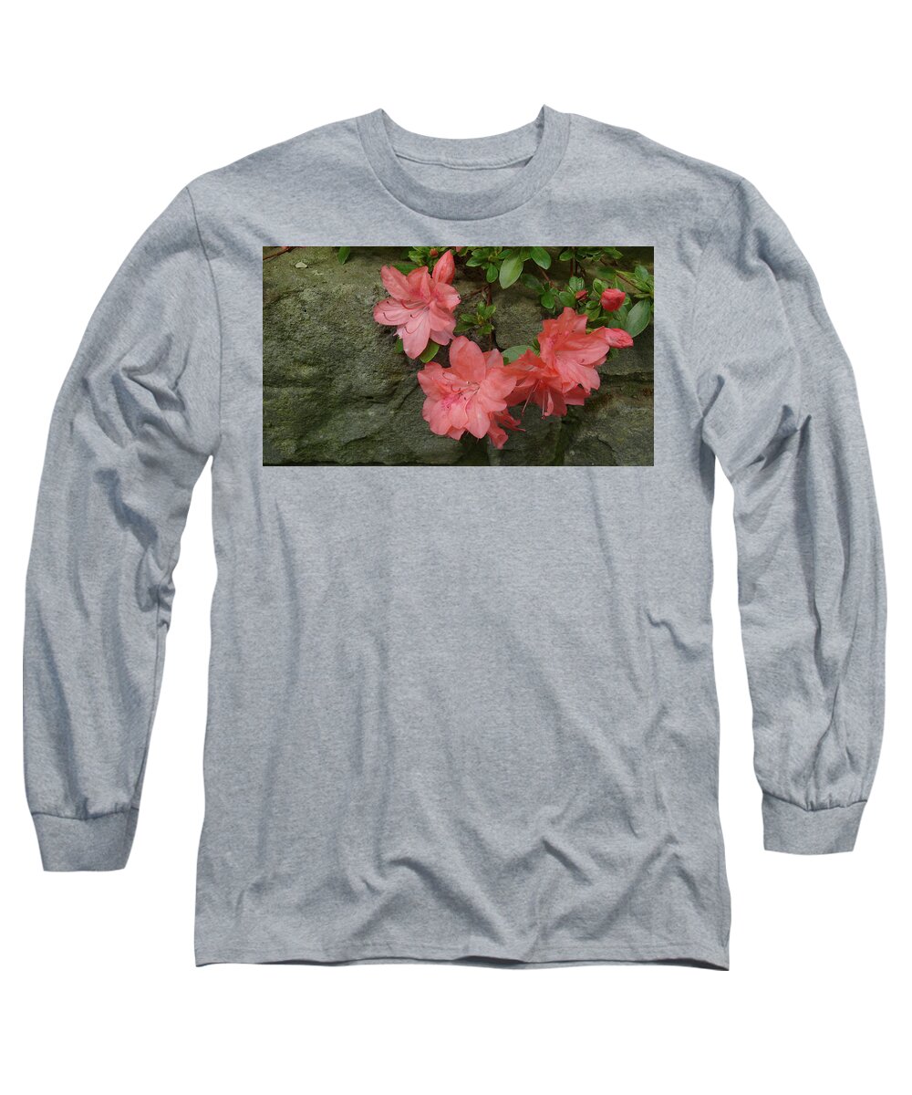 Flower Long Sleeve T-Shirt featuring the photograph Wallflower by Evelyn Tambour