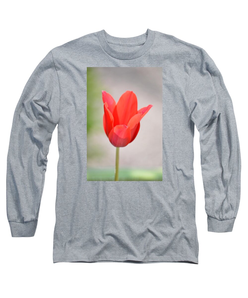 Beach Bum Pics Long Sleeve T-Shirt featuring the photograph Warm Pink Tulip by Billy Beck