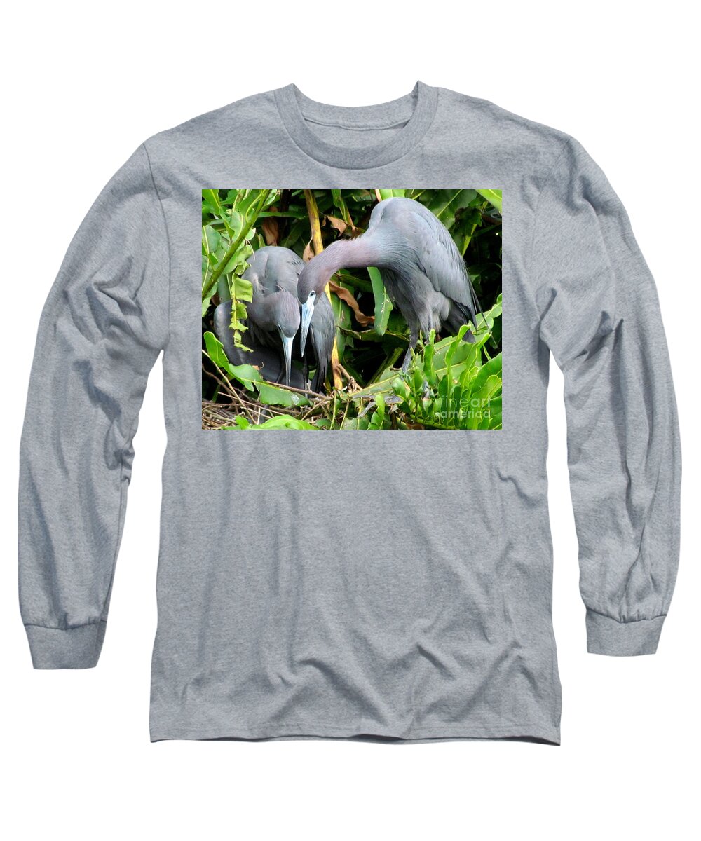 Tri-colored Herons Long Sleeve T-Shirt featuring the photograph Watching the Hatching by Lori Lafargue