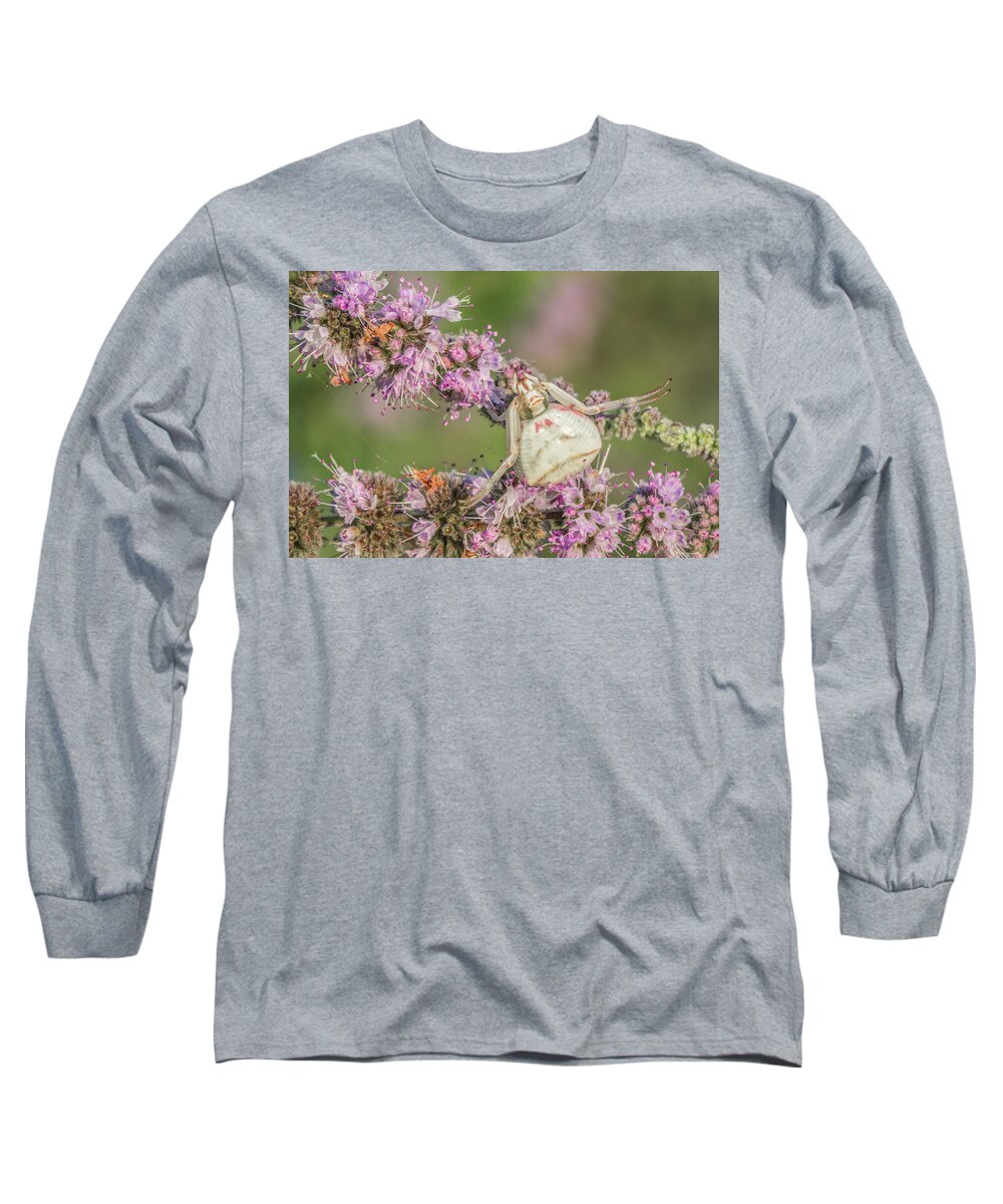 Animal Long Sleeve T-Shirt featuring the photograph Well camouflaged crab spider - Thomisus onustus by Jivko Nakev