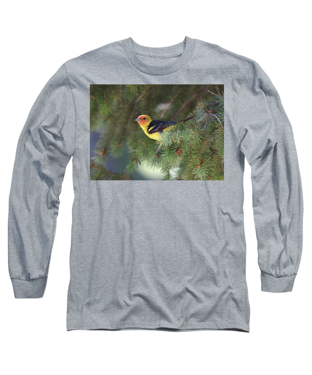  Long Sleeve T-Shirt featuring the photograph Western Tanager by Ben Foster