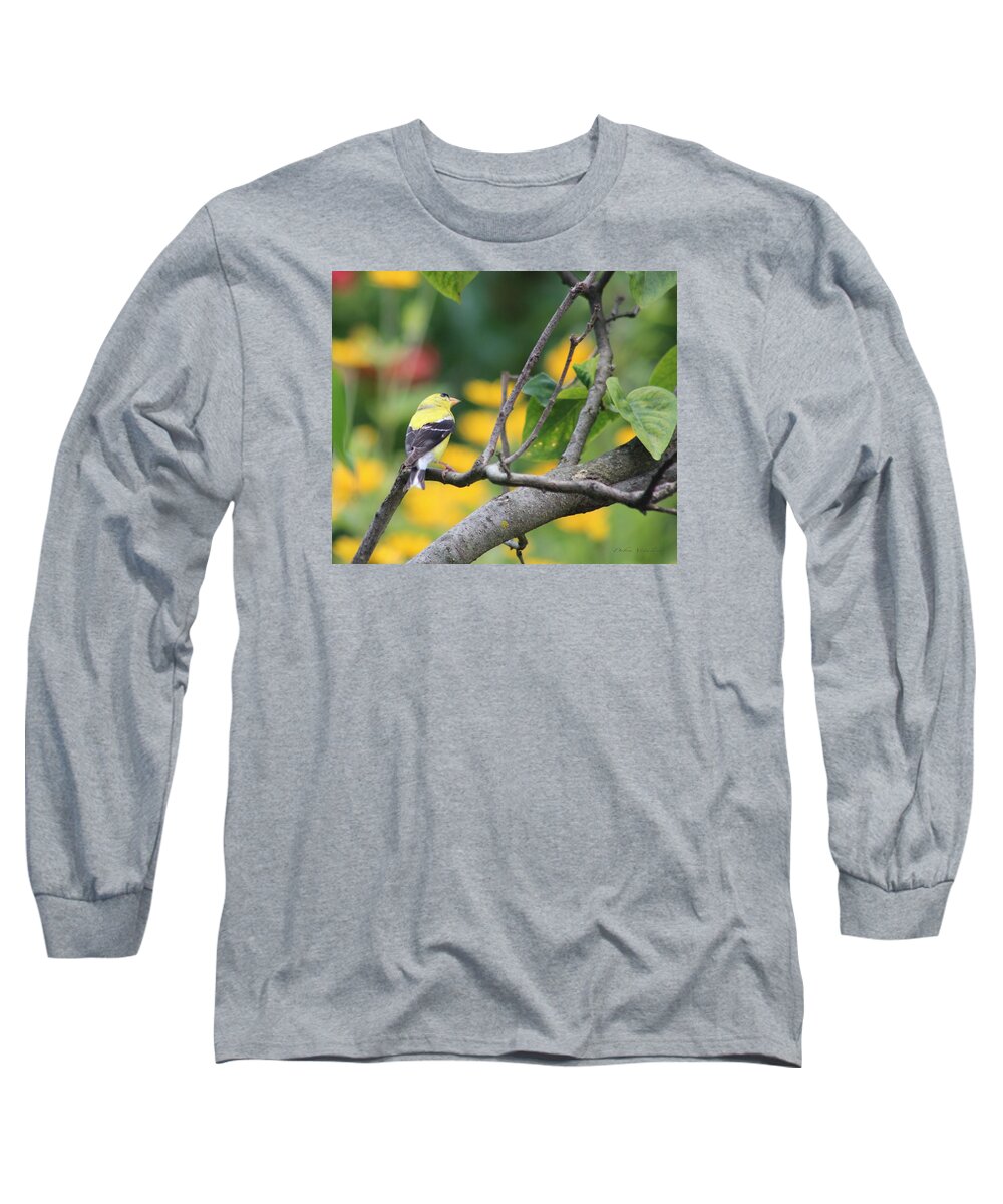 What's Up Long Sleeve T-Shirt featuring the photograph What's Up by Debra   Vatalaro