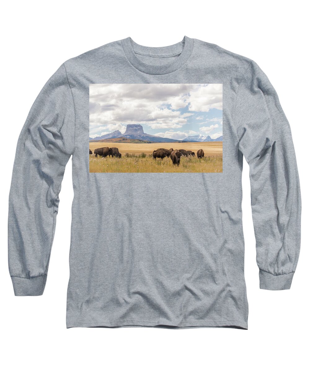 North Long Sleeve T-Shirt featuring the photograph Where the Buffalo Roam by Alex Lapidus