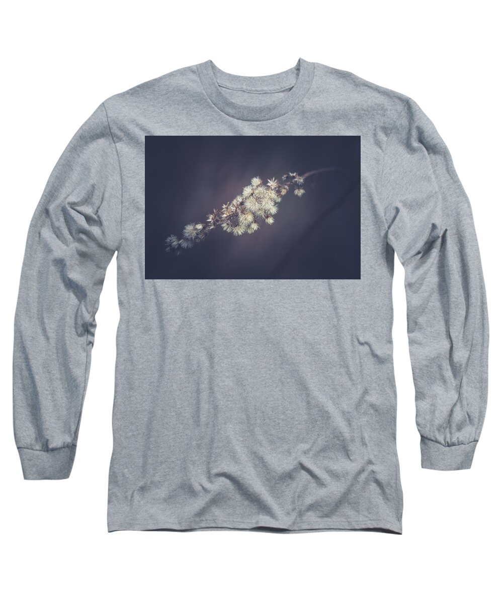 Plant Long Sleeve T-Shirt featuring the photograph Whip by Shane Holsclaw