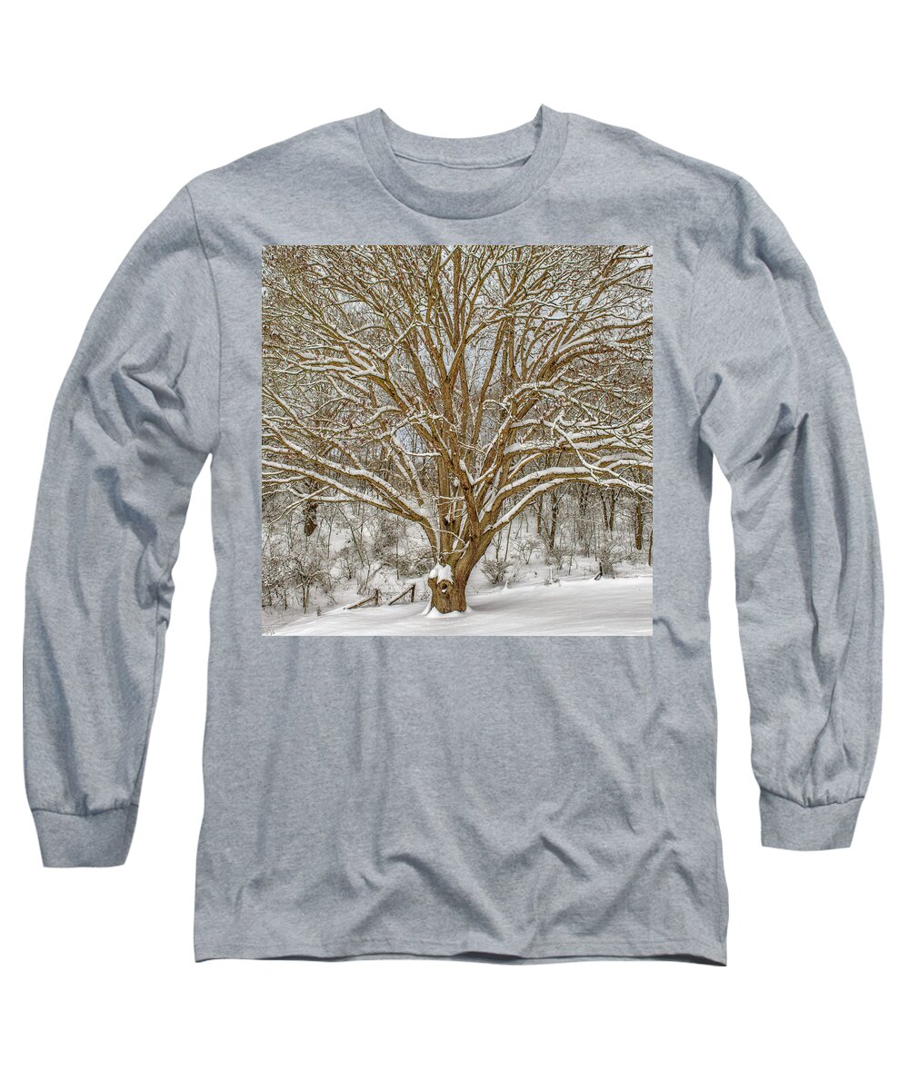 Landscape Long Sleeve T-Shirt featuring the photograph White Oak in Snow by Joe Shrader