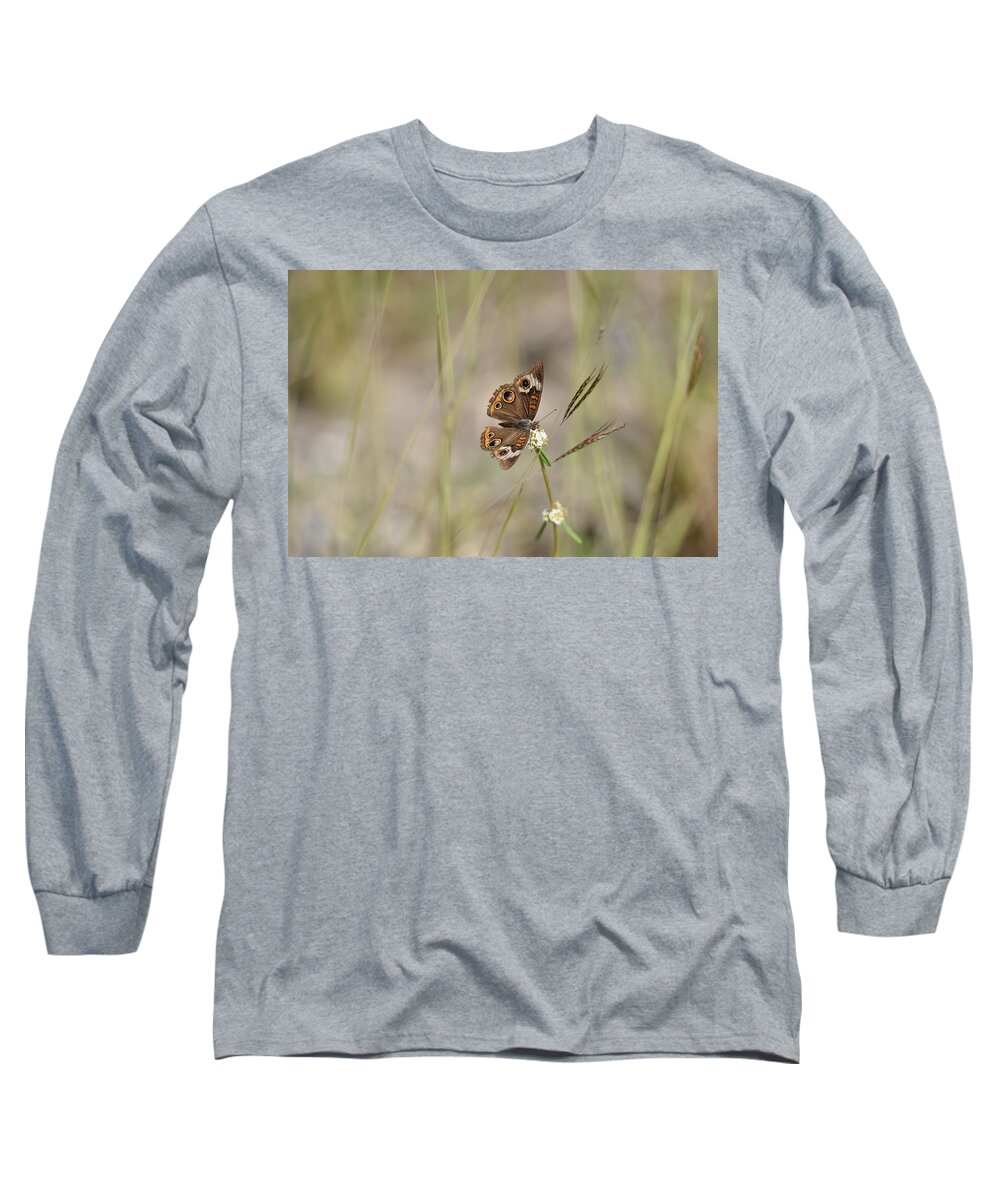 Butterfly Long Sleeve T-Shirt featuring the photograph Buckeye Butterfly Resting On White Flowers - Horizontal by Artful Imagery