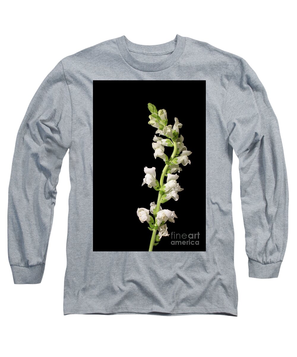 Snapdragon Long Sleeve T-Shirt featuring the photograph White Snapdragons on Black Botanical / Nature / Floral Photograph by PIPA Fine Art - Simply Solid