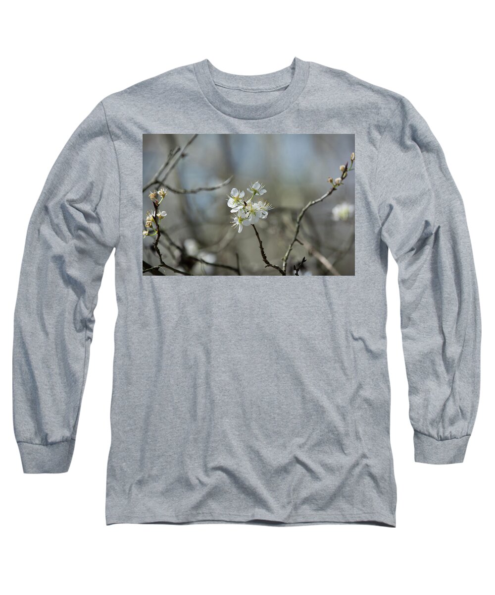 Flower Long Sleeve T-Shirt featuring the photograph White Tree Bud by John Benedict