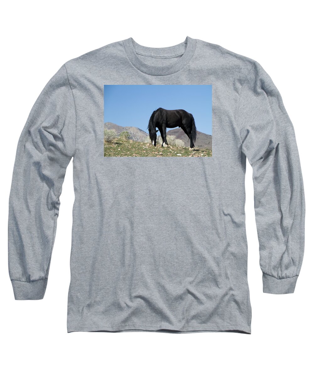 Horses Long Sleeve T-Shirt featuring the photograph Wild Black Stallion Horse by Waterdancer