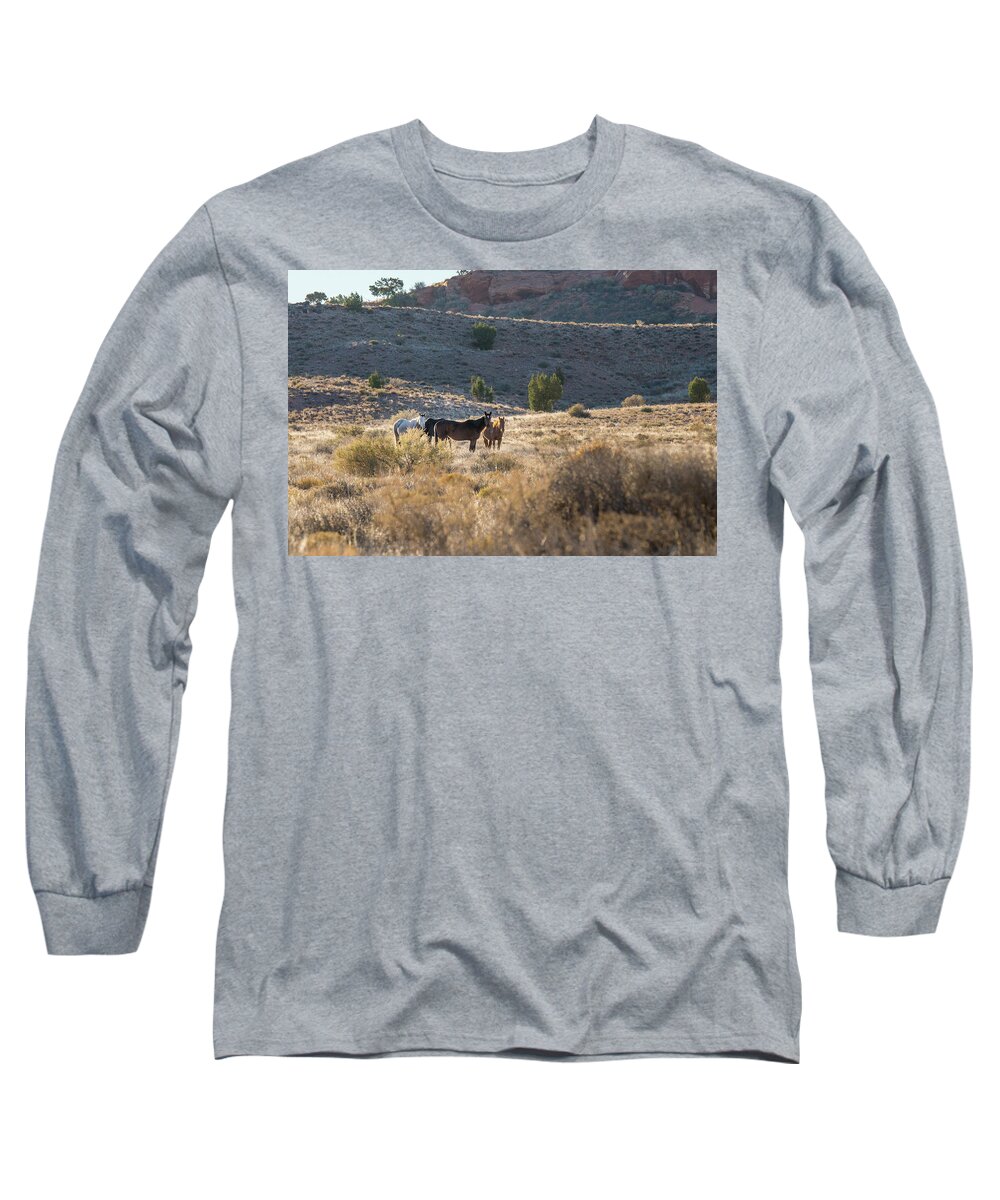 Arizona Long Sleeve T-Shirt featuring the photograph Wild Horses in Monument Valley by Jon Glaser