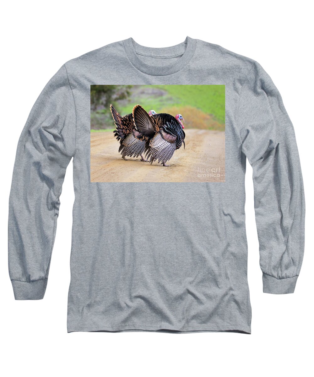 Turkeys Long Sleeve T-Shirt featuring the photograph Wild Turkeys by Mimi Ditchie