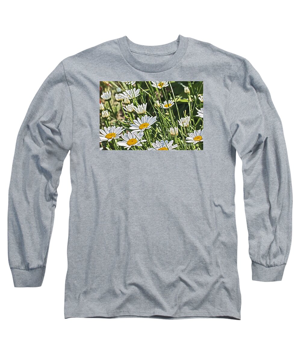 Flowers Long Sleeve T-Shirt featuring the photograph Wild White Daisies Unpicked in th eField by David Frederick