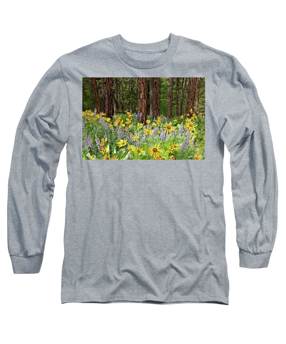 Arrowleaf Balsamroot Long Sleeve T-Shirt featuring the photograph Balsamroot and Lupine in a Ponderosa Pine Forest by Jeff Goulden