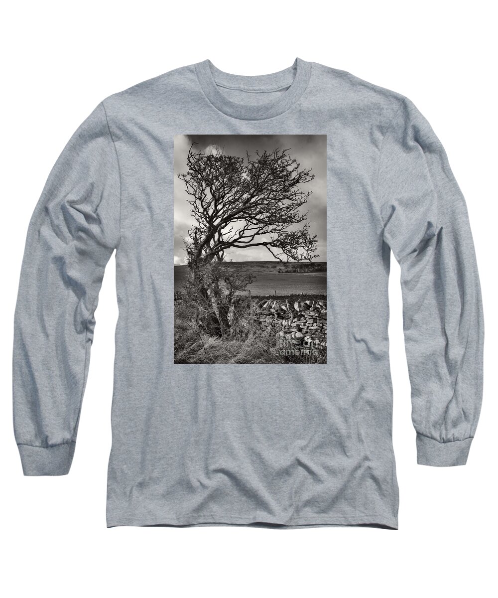 Tree Long Sleeve T-Shirt featuring the photograph Windswept Tree in Winter by Martyn Arnold