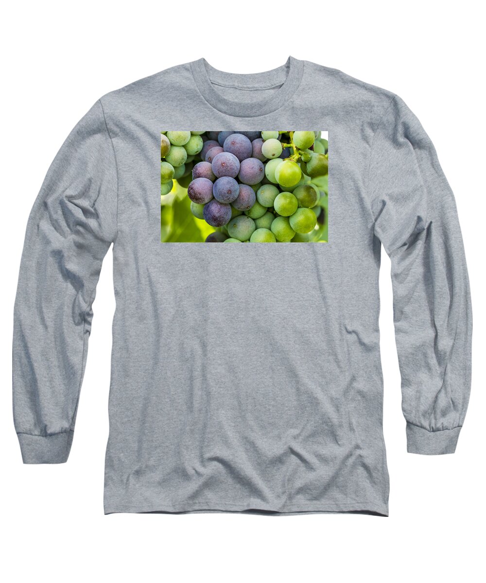 Colorado Vineyard Long Sleeve T-Shirt featuring the photograph Wine Grapes Close up by Teri Virbickis