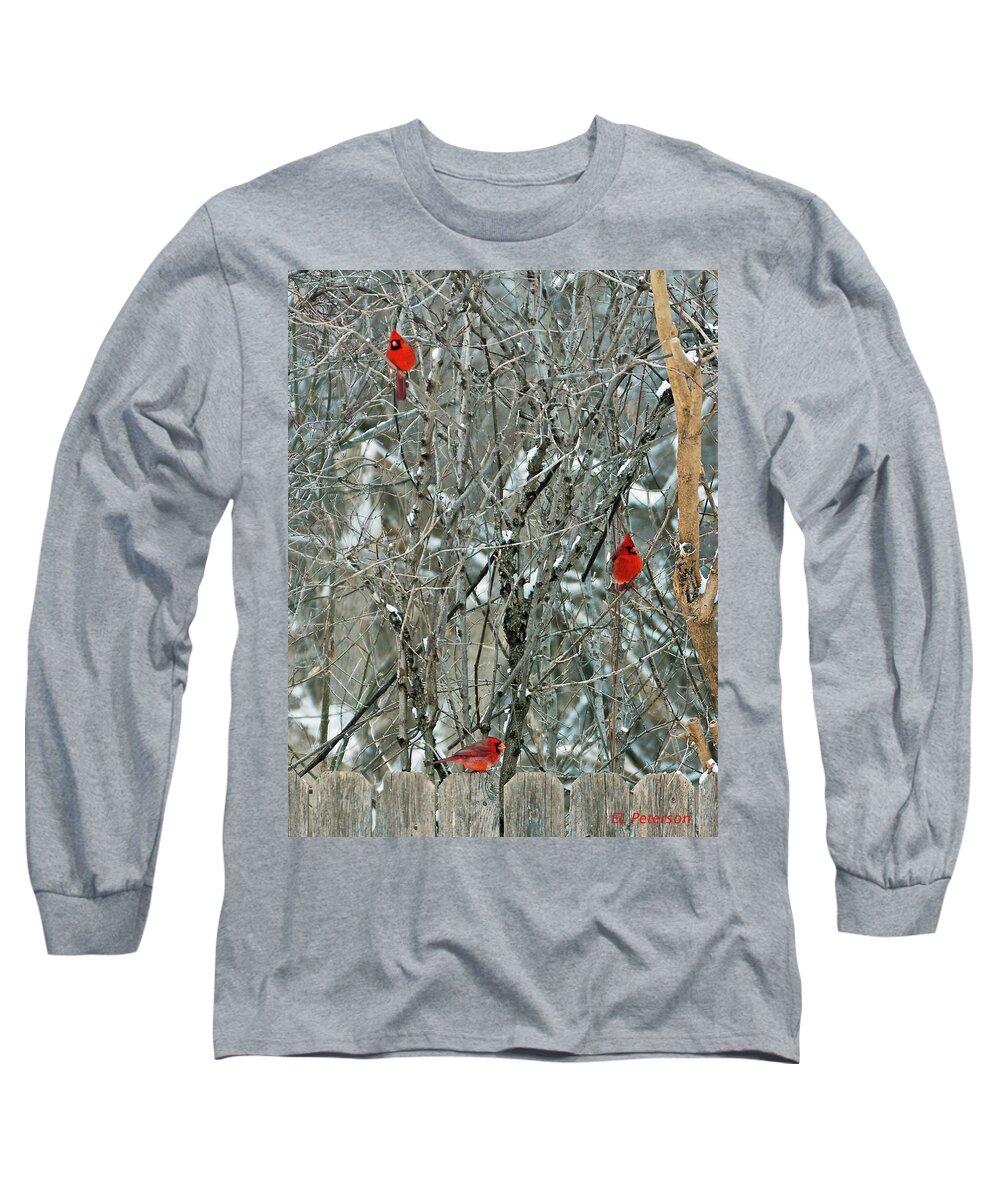 Northern Cardinal Long Sleeve T-Shirt featuring the photograph Winter Cardinals by Ed Peterson
