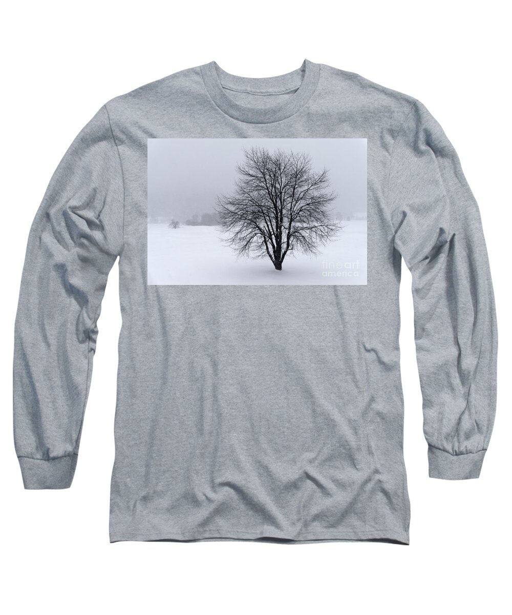 Winter Long Sleeve T-Shirt featuring the photograph Winter in New England by David Rucker