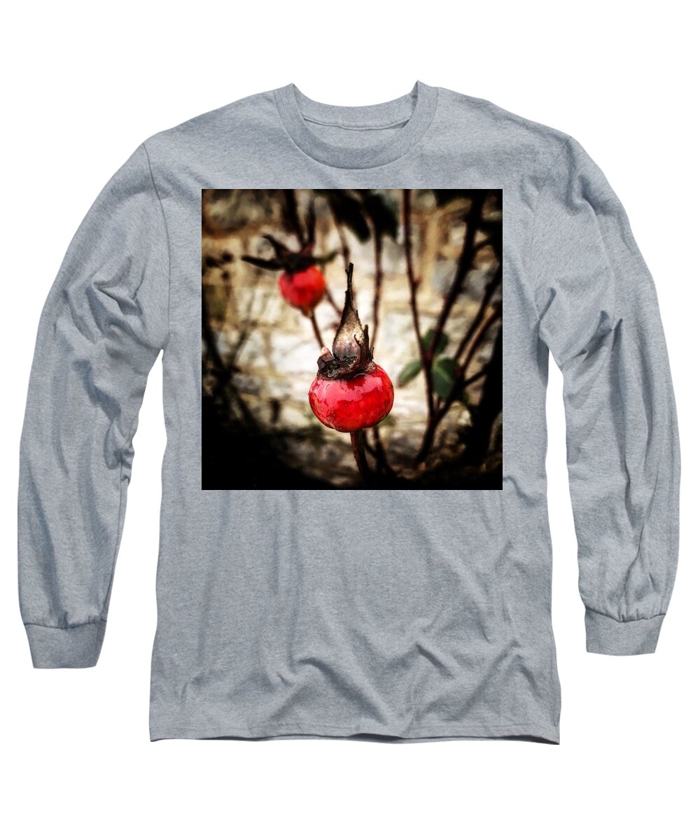 Rosehips Long Sleeve T-Shirt featuring the photograph Winter Rose Hips by Mark Egerton