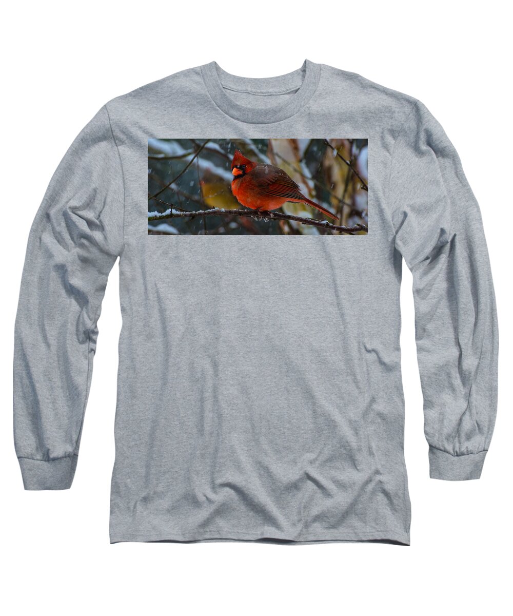 Winter Twosome Framed Prints Long Sleeve T-Shirt featuring the photograph Winter Twosome by John Harding