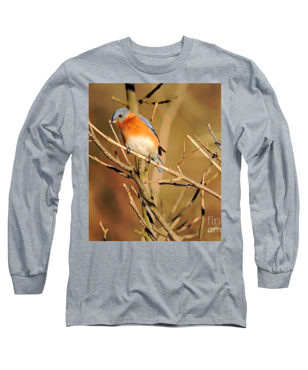 Bluebird Long Sleeve T-Shirt featuring the photograph Winter's Bluebird by Tami Quigley