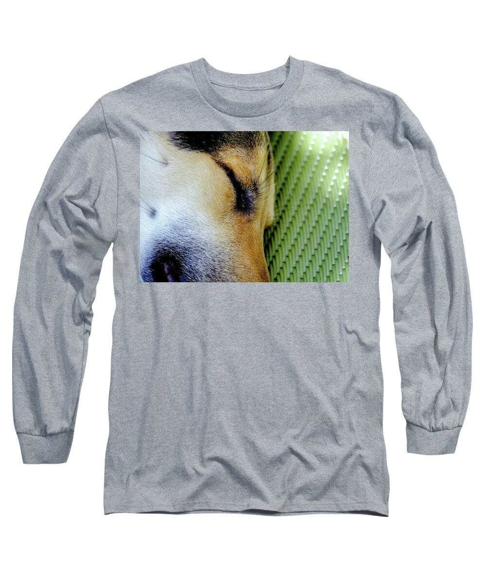 Dog Long Sleeve T-Shirt featuring the photograph Wiskers Fur-n-Plastic by Tim Dussault