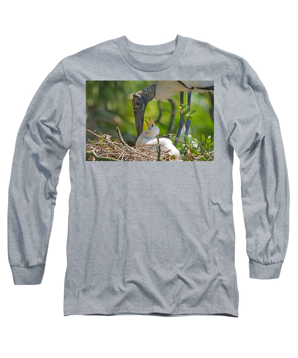 Wildlife Long Sleeve T-Shirt featuring the photograph Wood Stork Chick and Mom by Kenneth Albin