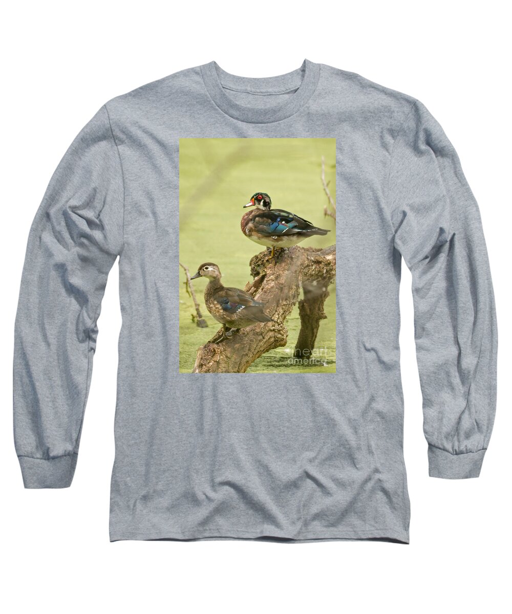 Autumn Long Sleeve T-Shirt featuring the photograph Woodduck Going Into Fall by Natural Focal Point Photography