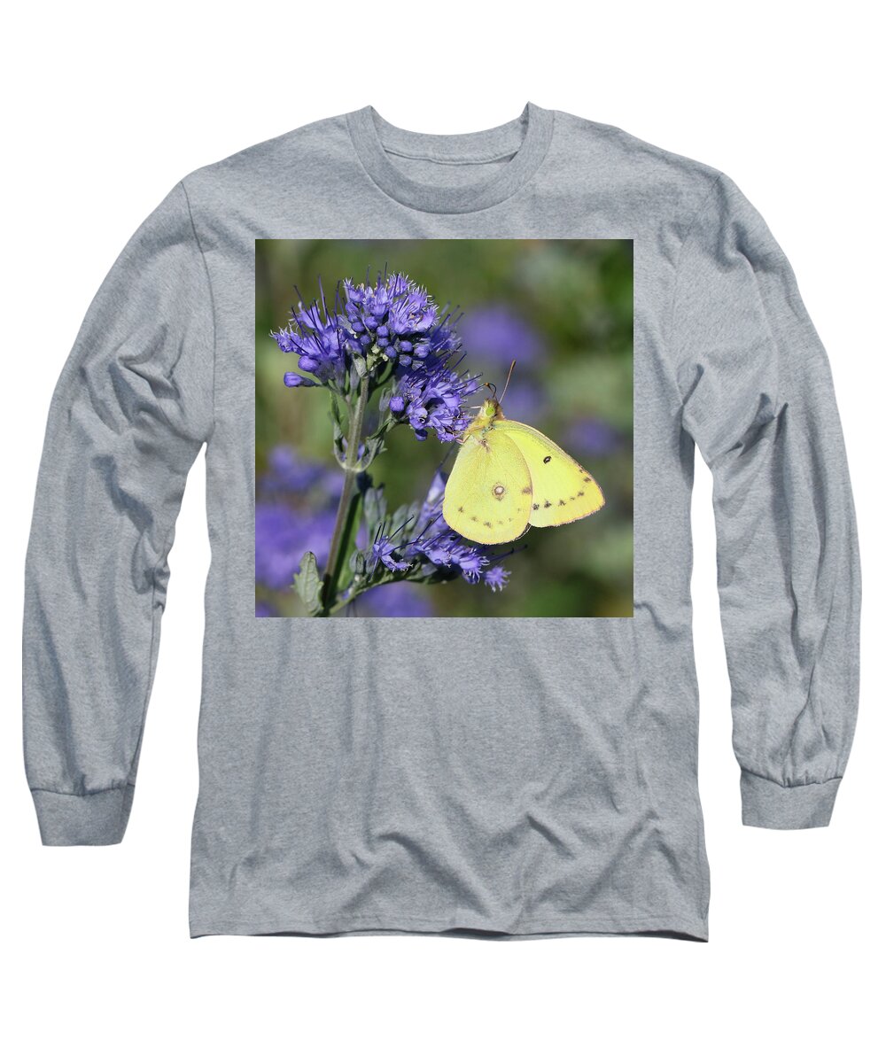 Cloudless Sulphur Butterfly Long Sleeve T-Shirt featuring the photograph Yellow and Indigo by Doris Potter