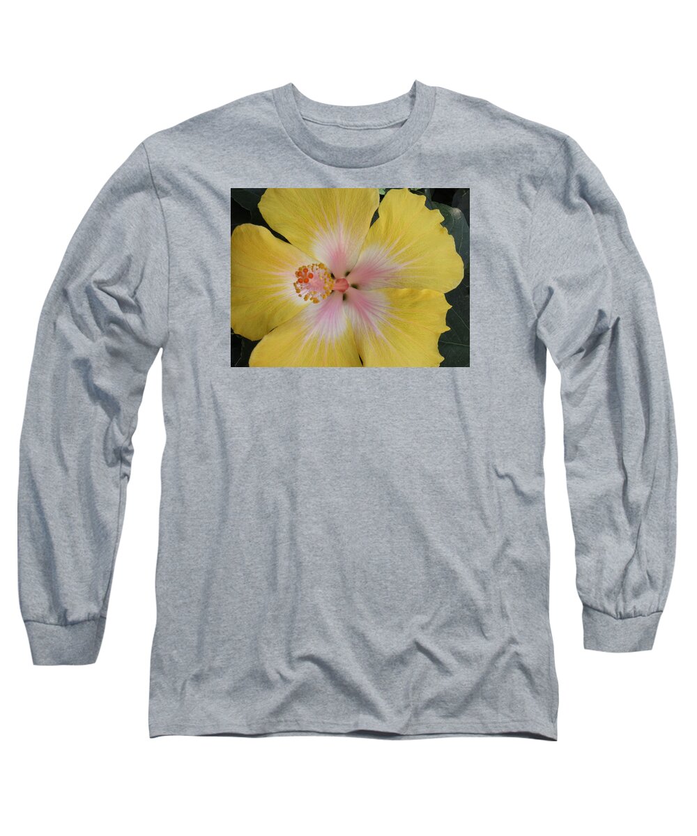 Flower Long Sleeve T-Shirt featuring the photograph Yellowy by Laura Henry